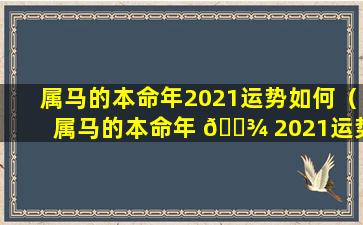 属马的本命年2021运势如何（属马的本命年 🌾 2021运势如何呢）